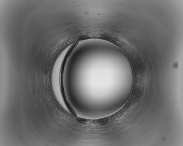 X0000091010697200708091602
