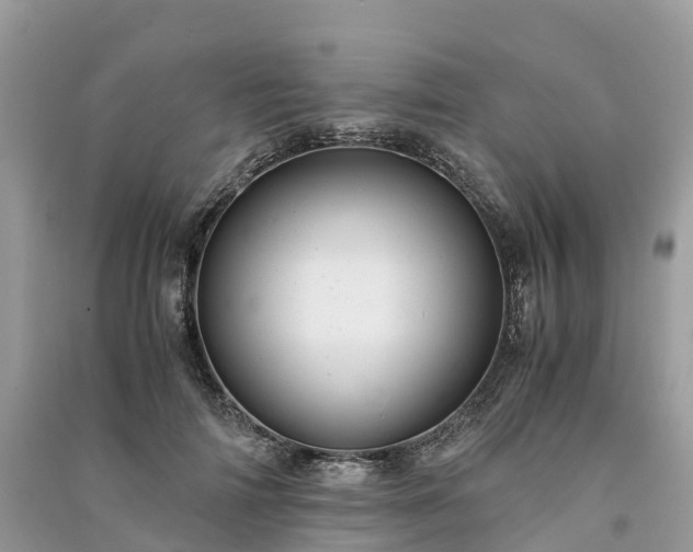 X0000091010698200708091602
