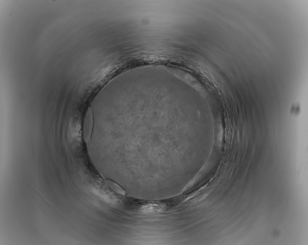X0000091010700200708091602
