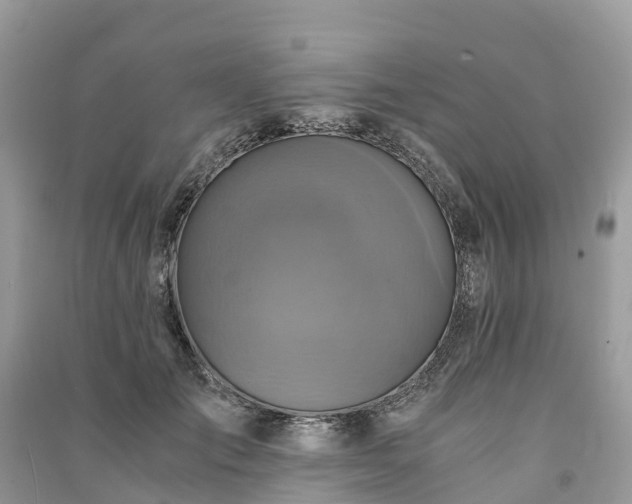 X0000091010701200708091602
