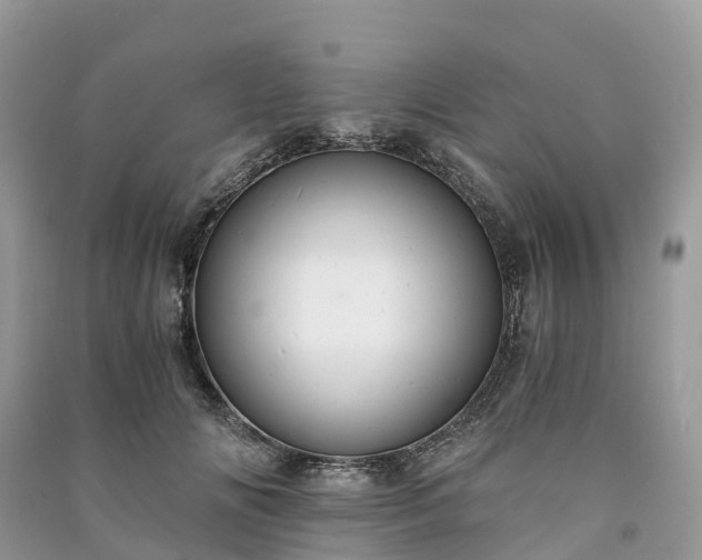 X0000091010702200708091602