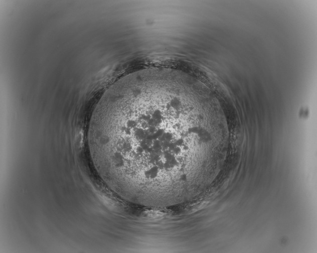 X0000091010703200708091602