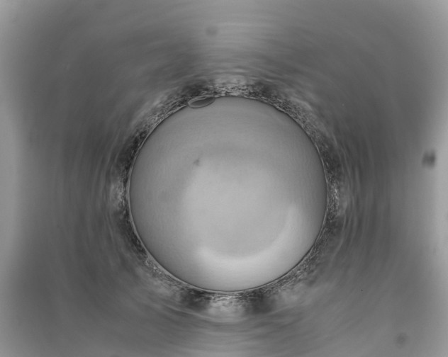 X0000091010705200708091602