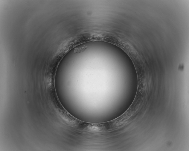 X0000091010706200708091601