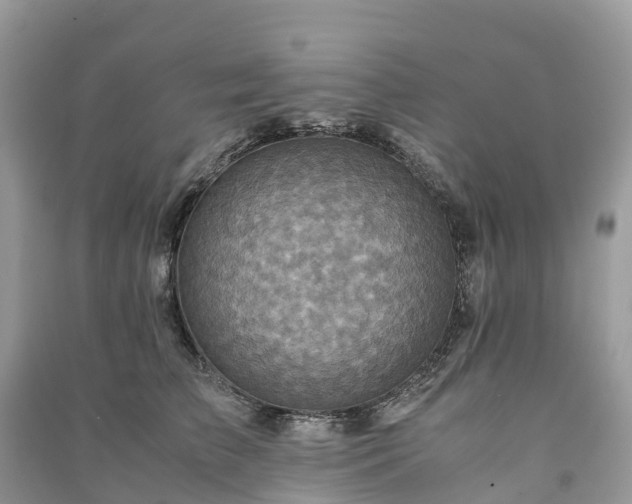 X0000091010709200708091601