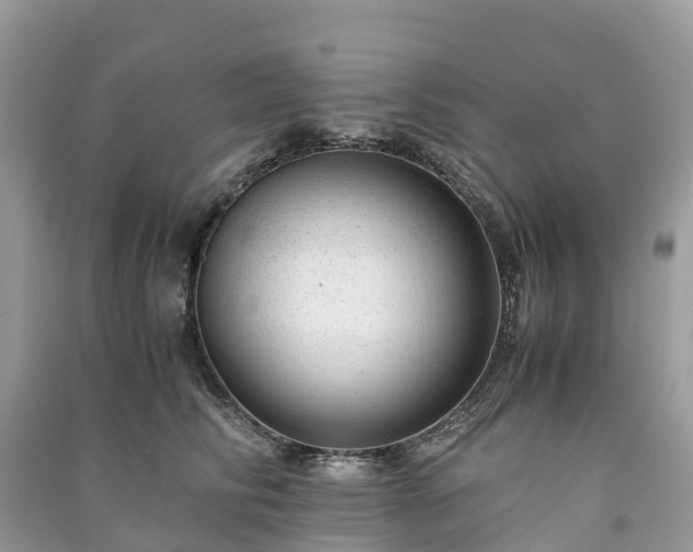 X0000091010710200708091601