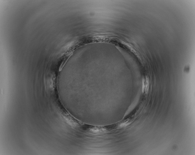 X0000091010712200708091601