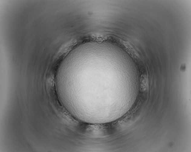 X0000091010713200708091601