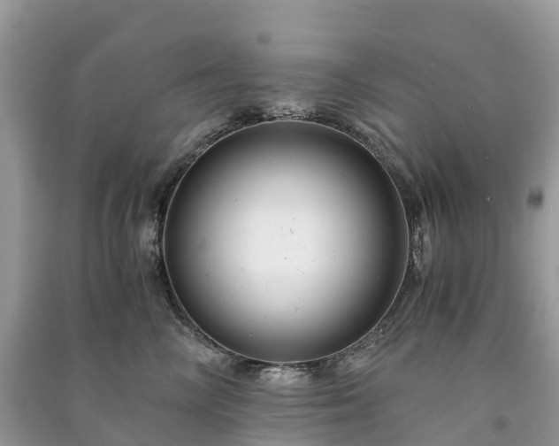 X0000091010714200708091601