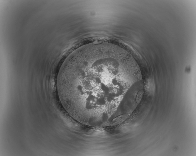 X0000091010715200708091601