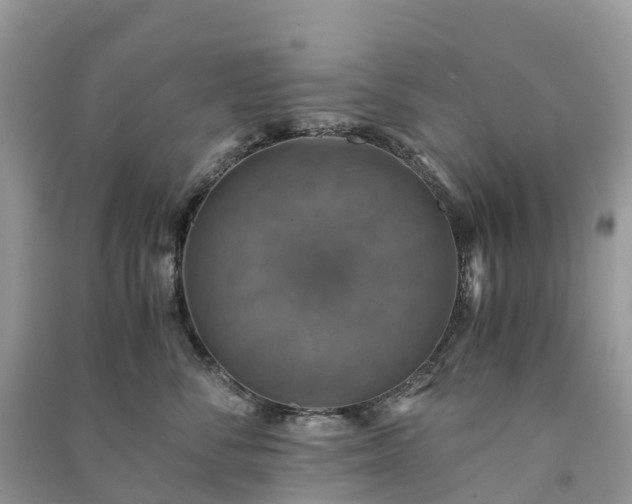 X0000091010716200708091601