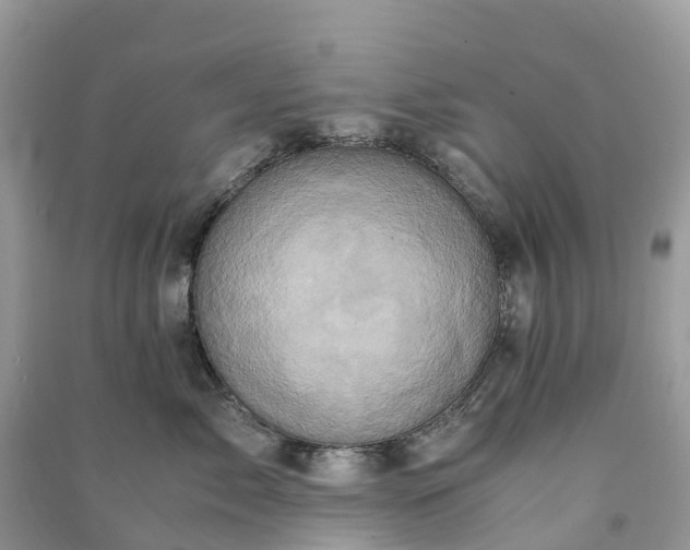 X0000091010717200708091601