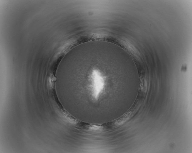 X0000091010718200708091601