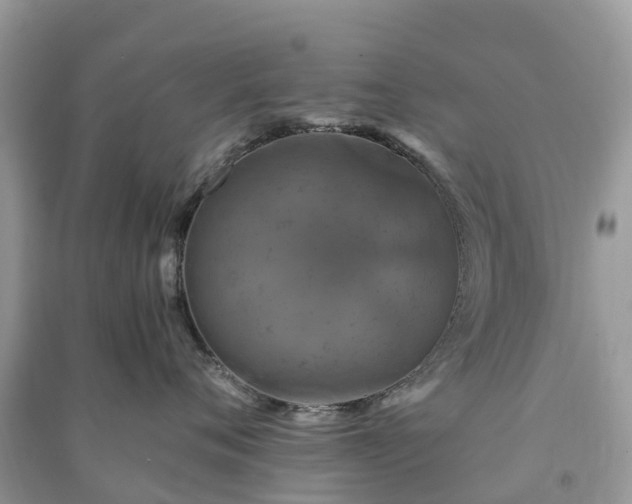 X0000091010720200708091601