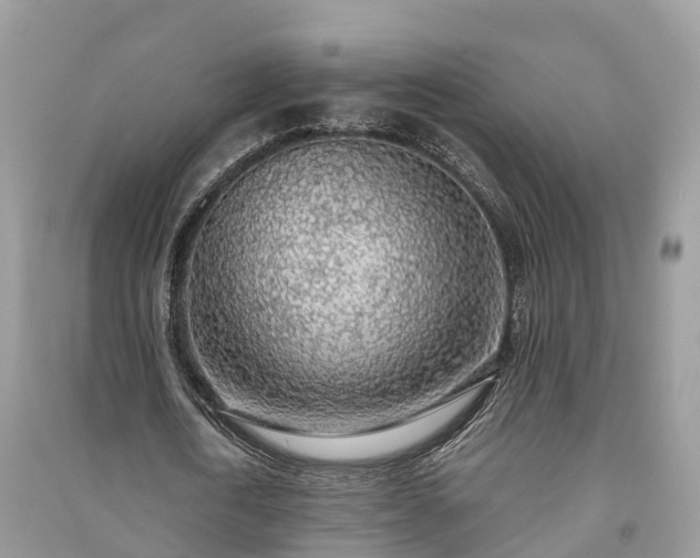 X0000091010722200708091601