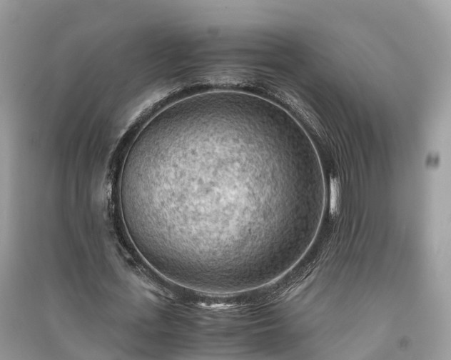 X0000091010723200708091601