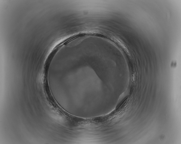 X0000091010724200708091601