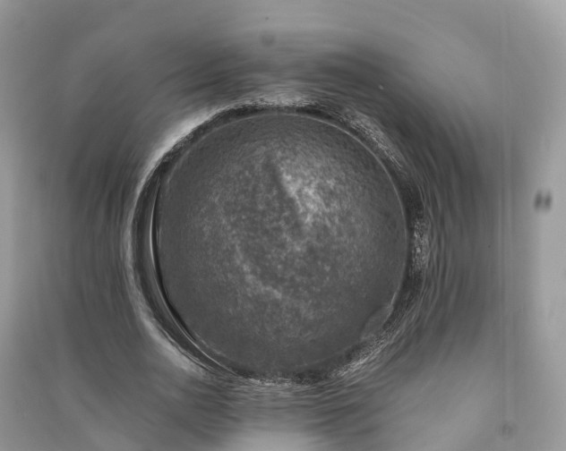 X0000091010726200708091601