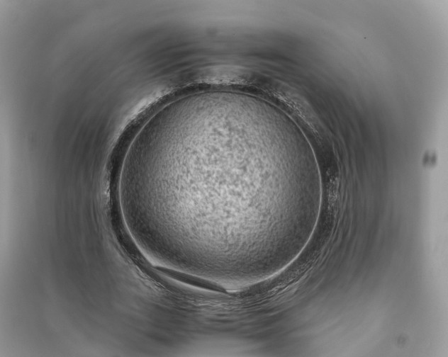 X0000091010727200708091601