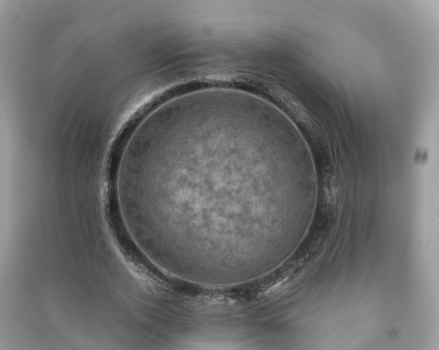 X0000091010728200708091601