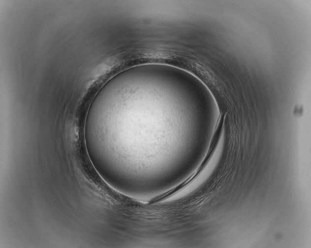 X0000091010731200708091601