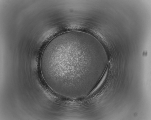 X0000091010735200708091601