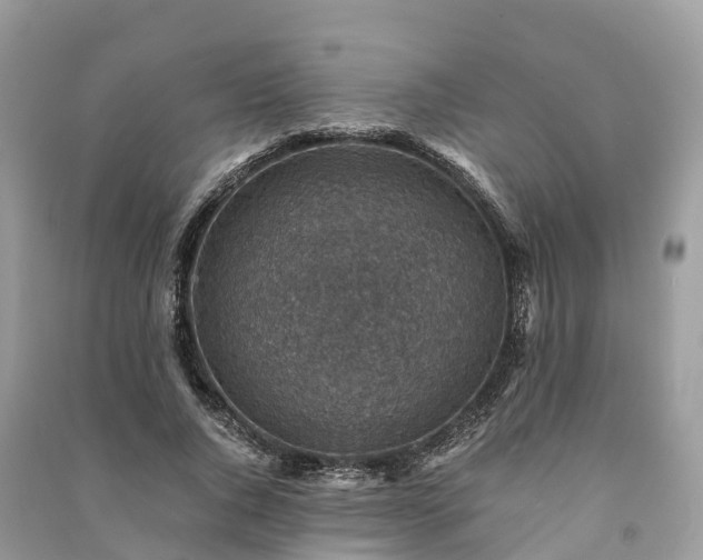 X0000091010736200708091601