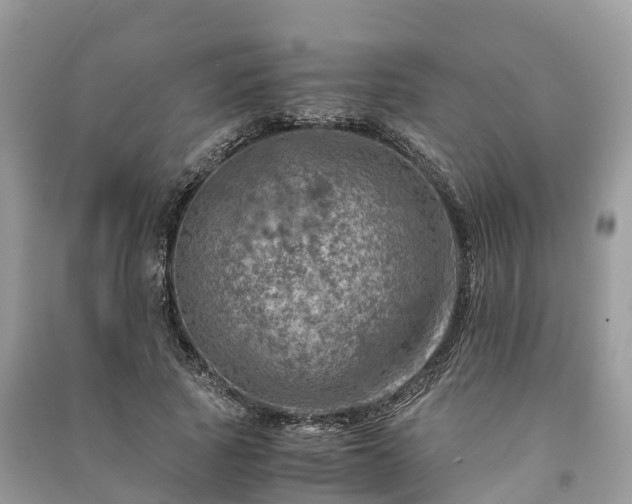 X0000091010737200708091601