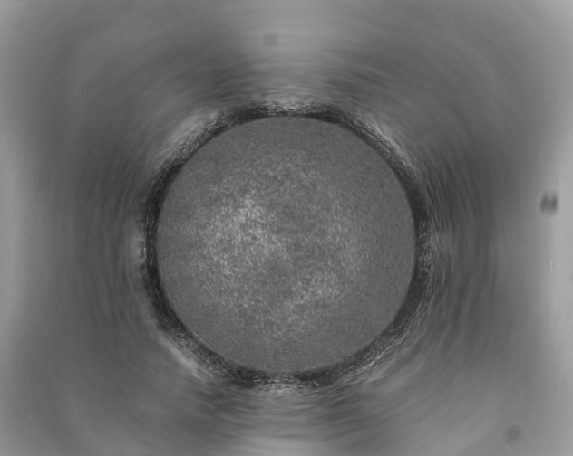 X0000091010738200708091601