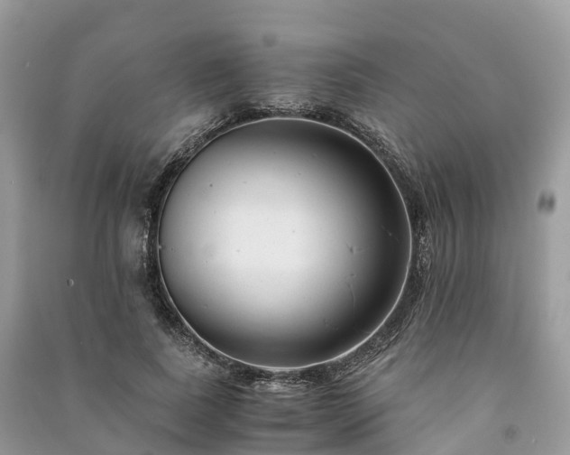 X0000091010739200708091601