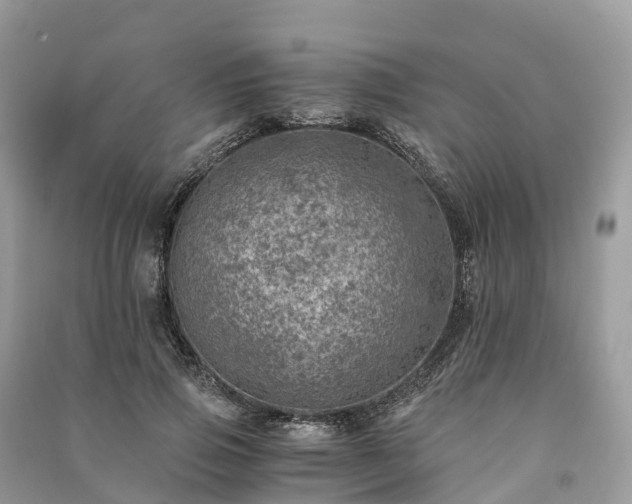 X0000091010741200708091601