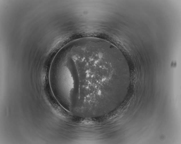 X0000091010742200708091601