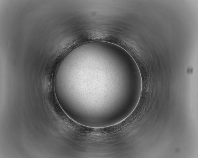 X0000091010743200708091601