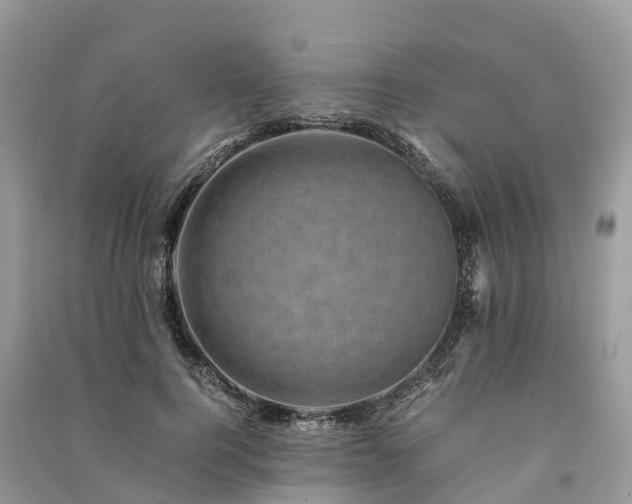 X0000091010744200708091601