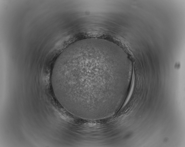 X0000091010745200708091601