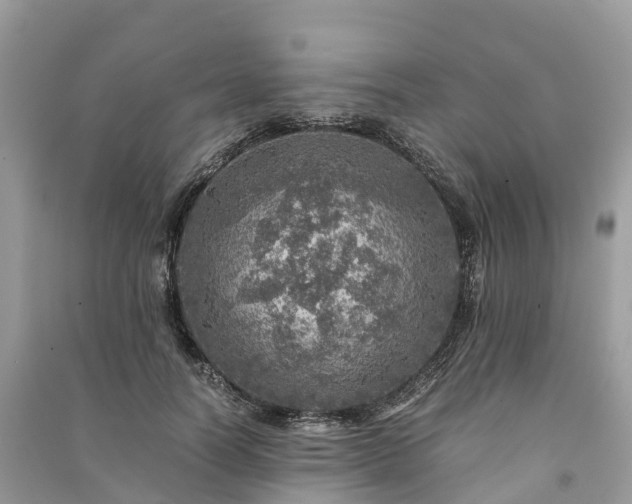 X0000091010746200708091601