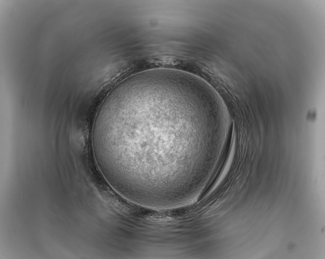 X0000091010747200708091601