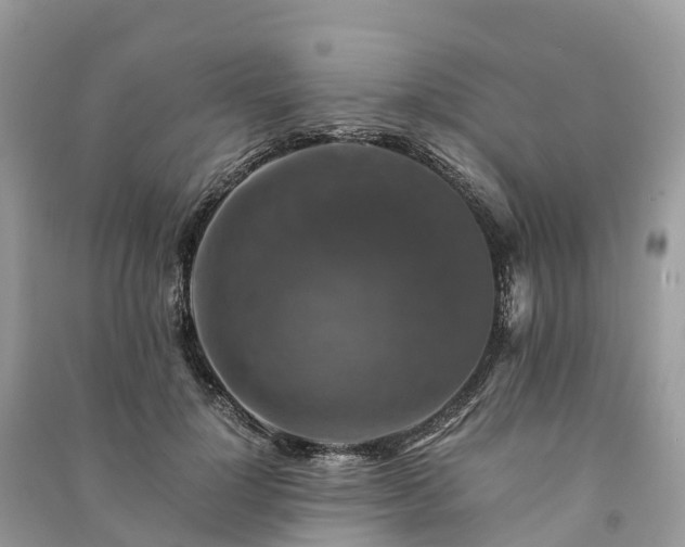 X0000091010748200708091601