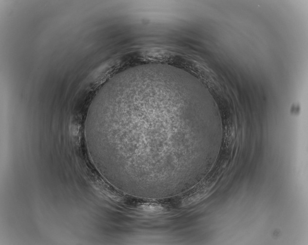 X0000091010749200708091601