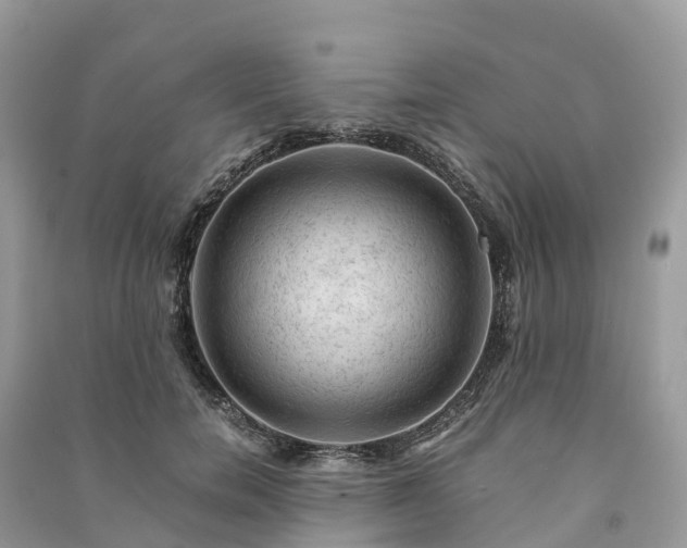 X0000091010750200708091601