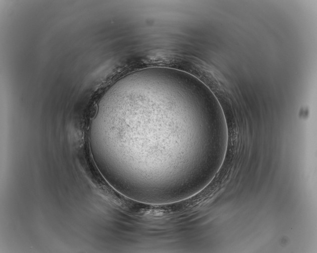 X0000091010751200708091601