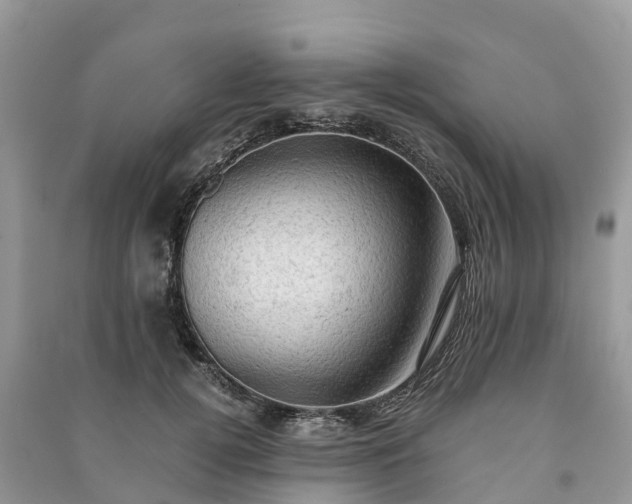 X0000091010752200708091601