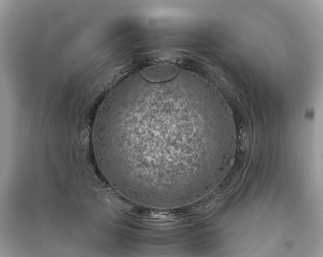 X0000091010753200708091601