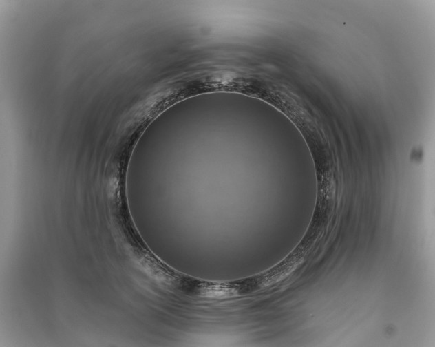 X0000091010754200708091601