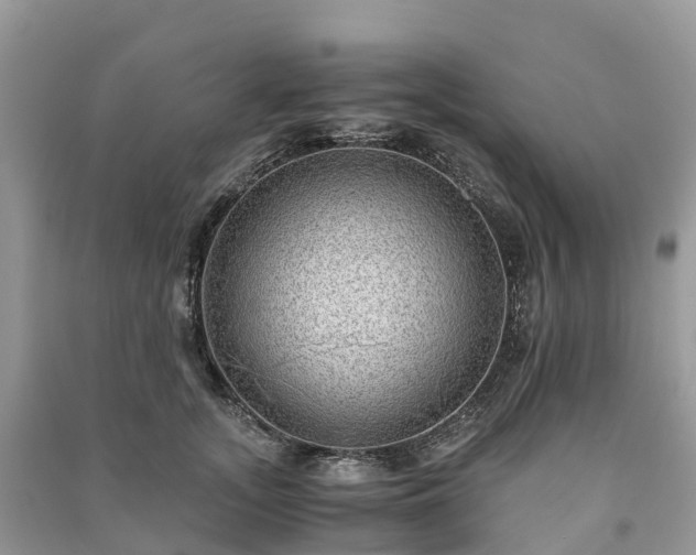 X0000091010755200708091601