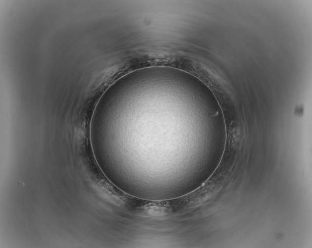 X0000091010756200708091601