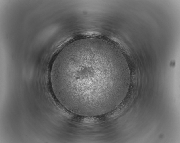 X0000091010757200708091601
