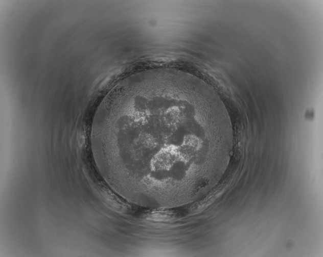 X0000091010758200708091601