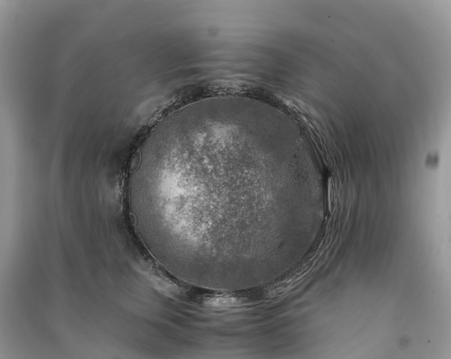 X0000091010759200708091601