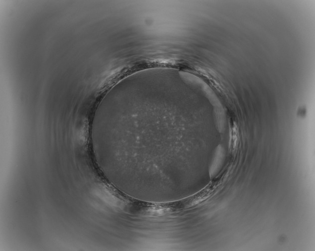 X0000091010760200708091601